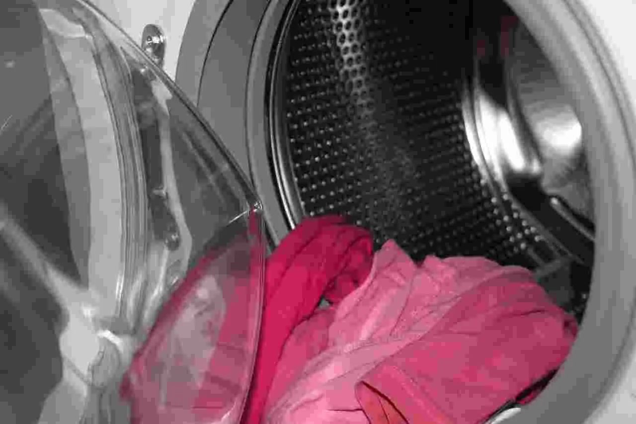 Come eliminare i cattivi odori dalla lavatrice: ecco il trucco di aprile Come eliminare i cattivi odori dalla lavatrice: ecco il trucco di aprile