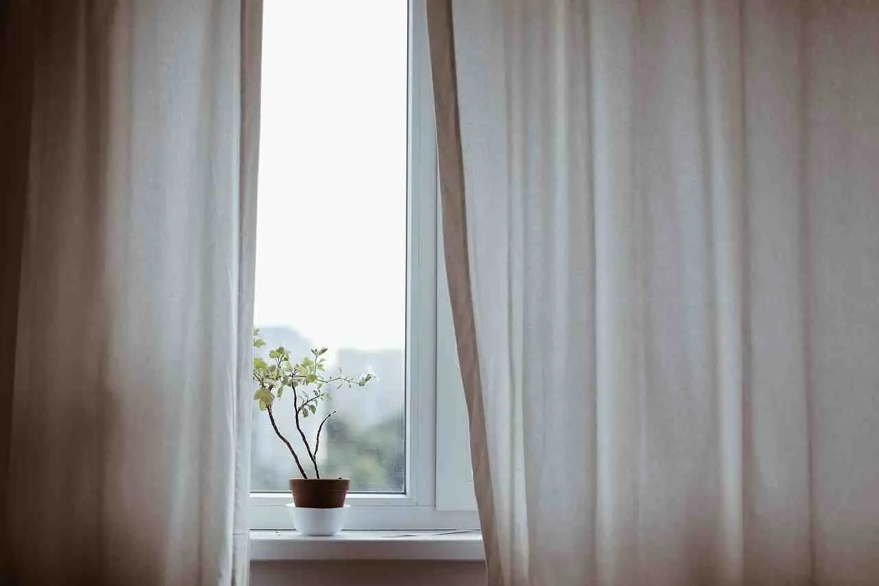 Vuoi una casa più fresca in estate? Ecco il segreto con l’acqua e la ventola Immagine selezionata