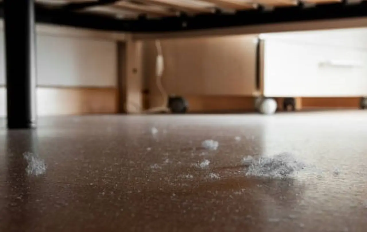 Casa piena di polvere? Ecco il segreto per evitarla senza usare prodotti costosi Immagine selezionata