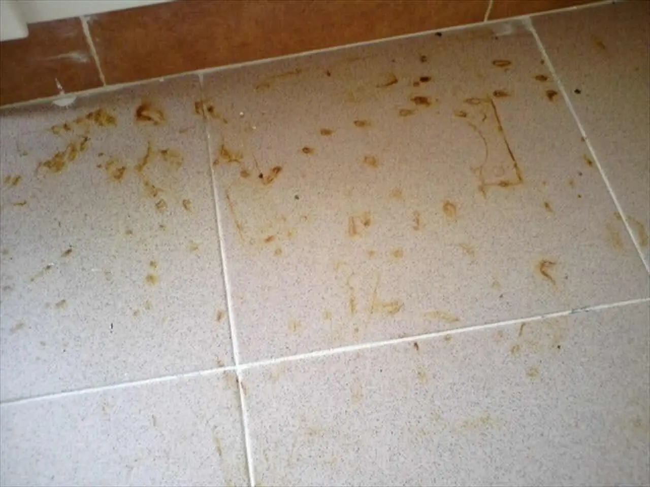 Come rimuovere le macchie di ruggine dal tuo pavimento Come rimuovere le macchie di ruggine dal tuo pavimento