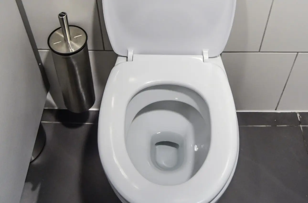 Come pulire i sanitari senza usare prodotti aggressivi Immagine selezionata